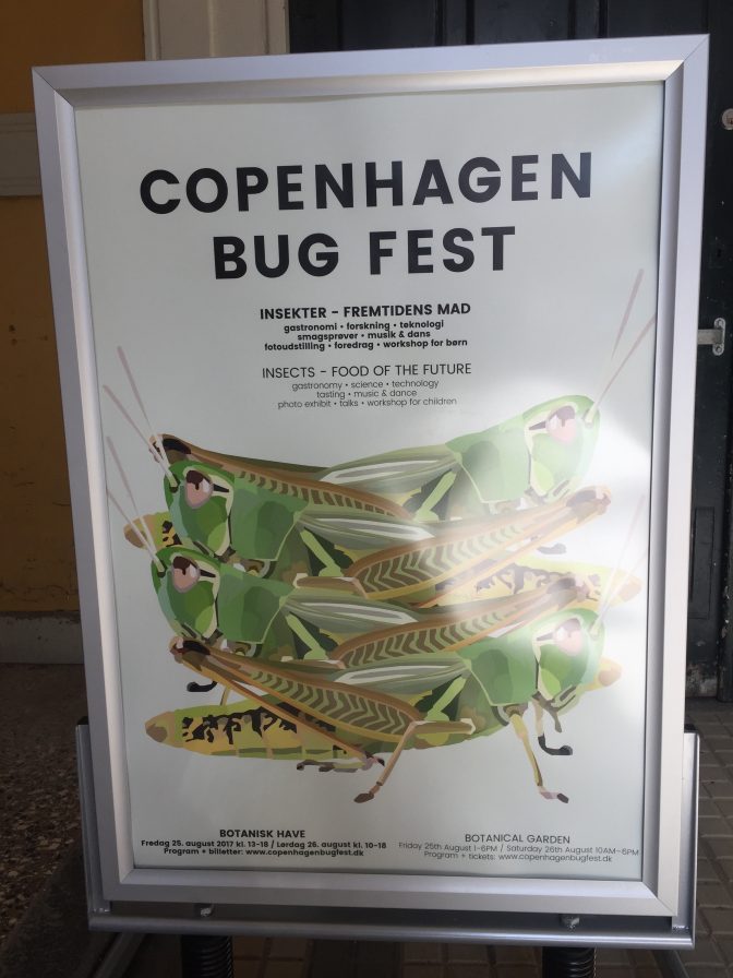 Copenhagen Bug Festival Bugsolutely